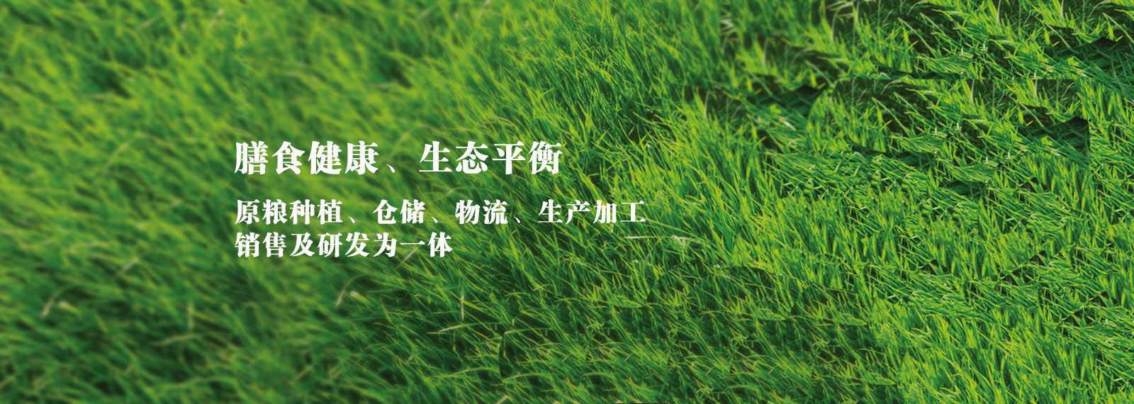 url(http://www.hbzsfl.com/style/banner1.jpg)